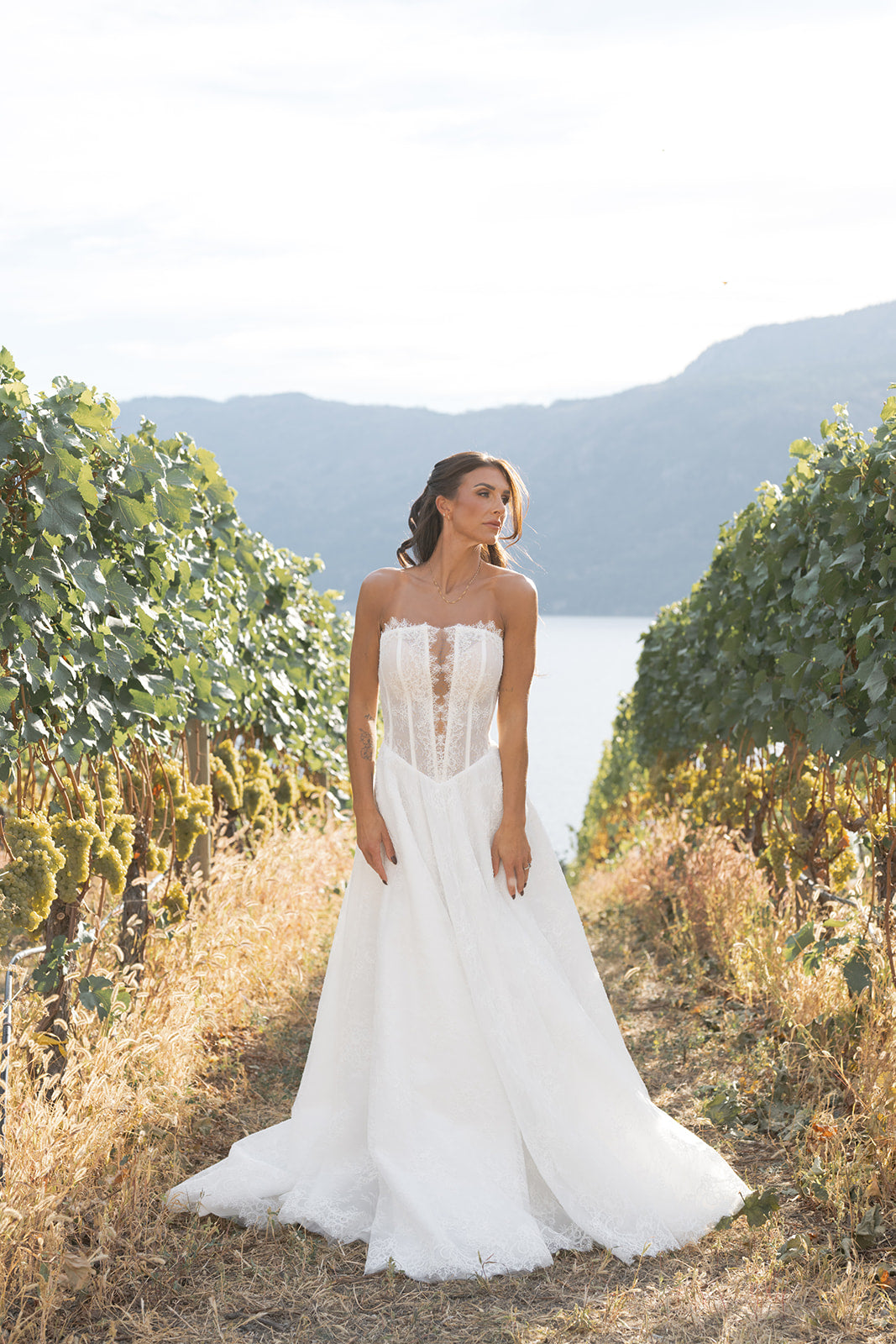 Woman in Amanti Fortuna white wedding dress  with Basque waistline for a flattering, elongated shape, A-line silhouette in Chantilly French lace. vineyard with mountains in the background. Le Reve Boutique Edmonton, Alberta